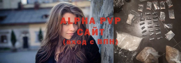 индика Бугульма