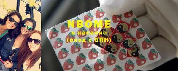 индика Бугульма